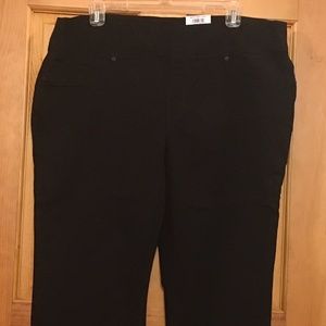 Capri Style & Company black pants
